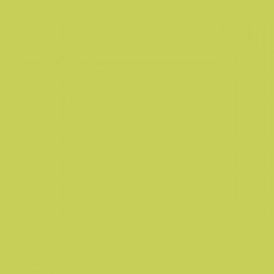 Калъфка за възглавница Happy Home MIX COLORS Шам-фъстък 90 легло 144 Конци 90 cm - Perne