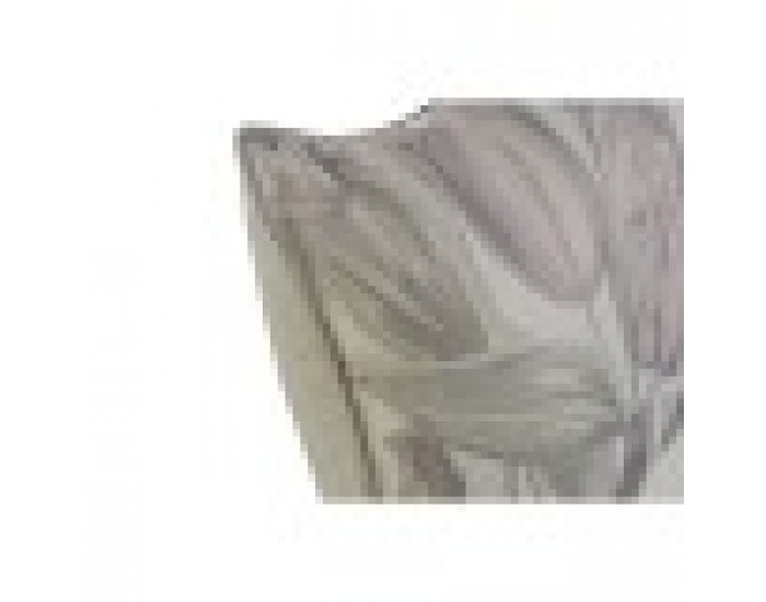 Възглавница Home ESPRIT Бланка Лале 50 x 10 x 30 cm
