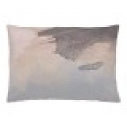 Калъфка за възглавница Naturals Sore (50 x 30 cm) - Perne