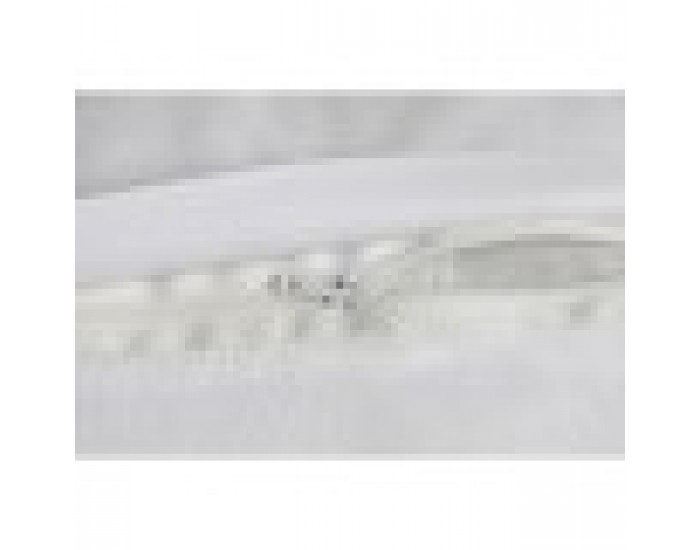 Комплект възглавници Home ESPRIT Тропически 45 x 8 x 45 cm (2 броя)