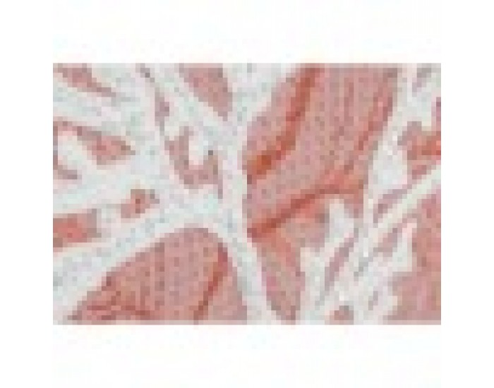 Възглавница Home ESPRIT Бял Корал Средиземноморско 60 x 10 x 35 cm