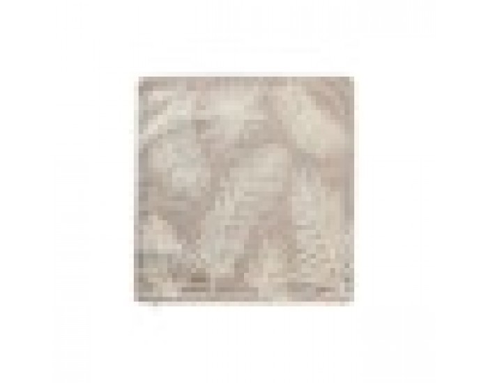 Калъфка за възглавница DKD Home Decor Листи Кафяв (50 x 1 x 50 cm)