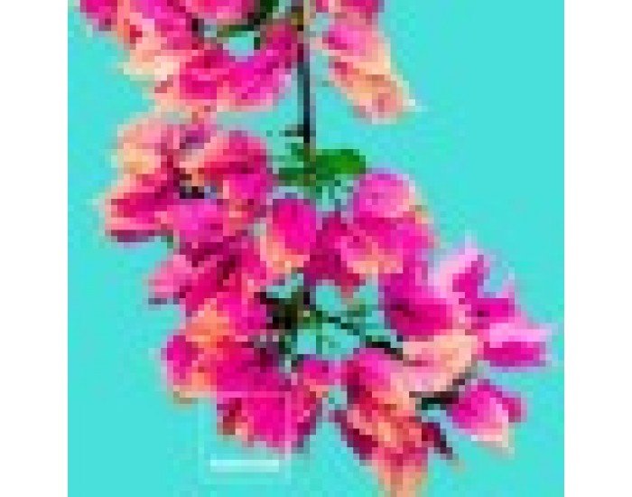 Покривало за одеяло Bugnavilla Pantone - Размери - Легло 90 (150 x 220 см)