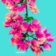 Покривало за одеяло Bugnavilla Pantone - Размери - Легло 90 (150 x 220 см)