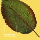 Покривало за одеяло Nature Pantone - Размери - Легло 150 (240 x 220 см)