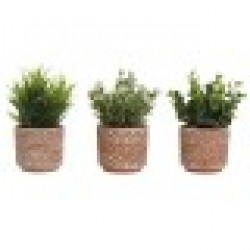Декоративно Растение Home ESPRIT полиетилен Цимент 12 x 12 x 17 cm (3 броя) - Home esprit