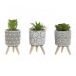 Декоративно Растение Home ESPRIT полиетилен Цимент 6,5 x 6,5 x 11 cm (3 броя) - Home esprit