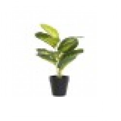 Декоративно Растение DKD Home Decor Черен Зелен PVC PP (25 x 25 x 30 cm) - Dkd home decor