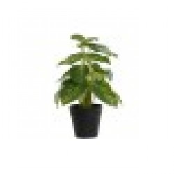 Декоративно Растение DKD Home Decor Черен Зелен PVC PP (20 x 20 x 30 cm) - Dkd home decor