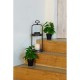 Декоративно Растение DKD Home Decor Черен Зелен PVC PP (20 x 20 x 30 cm)