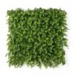 Вертикална Градина Зелен Пластмаса Листи 50 x 50 cm - Ibergarden