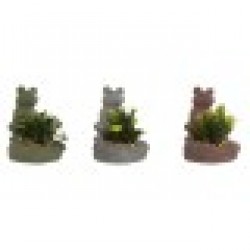 Декоративно Растение Home ESPRIT полиетилен Цимент Жаба 9 x 9 x 13 cm (3 броя) - Home esprit