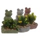 Декоративно Растение Home ESPRIT полиетилен Цимент Жаба 9 x 9 x 13 cm (3 броя)