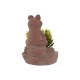 Декоративно Растение Home ESPRIT полиетилен Цимент Жаба 9 x 9 x 13 cm (3 броя)