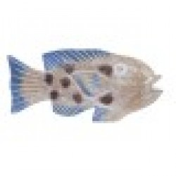 Декоративна фигурка DKD Home Decor 40 x 5 x 18 cm Естествен Син Риба Средиземноморско - Dkd home decor