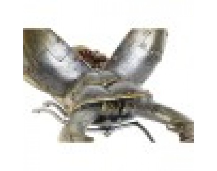 Декоративна фигурка Home ESPRIT Сив Многоцветен Бръмбари 22 x 14 x 11 cm