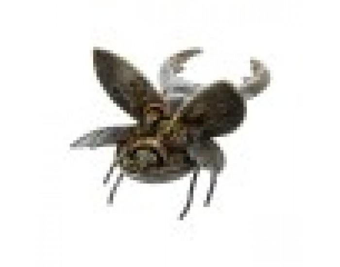 Декоративна фигурка Home ESPRIT Сив Многоцветен Бръмбари 22 x 14 x 11 cm
