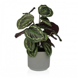 Декоративно Растение Versa 15 x 40,5 x 15 cm Цимент Пластмаса - Versa