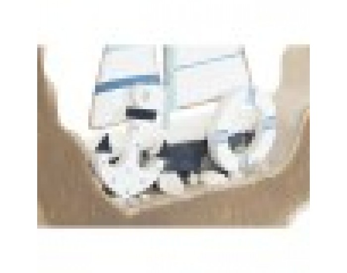 Декоративна фигурка Home ESPRIT Син Бял Червен Естествен 20 x 2,5 x 20 cm (2 броя)