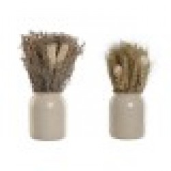 Декоративно Растение Home ESPRIT Цвете 13 x 13 x 25 cm (2 броя) (12 броя) - Home esprit