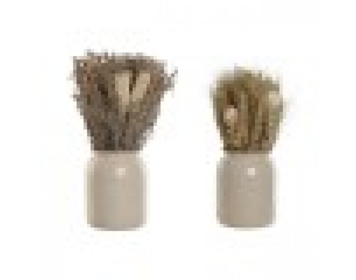 Декоративно Растение Home ESPRIT Цвете 13 x 13 x 25 cm (2 броя) (12 броя)