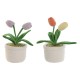 Държач на врати Home ESPRIT 14 x 14 x 30 cm (2 броя)