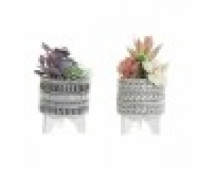 Декоративно Растение DKD Home Decor Кактус Смола полиетилен 11 x 11 x 21 cm (2 броя)