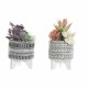 Декоративно Растение DKD Home Decor Кактус Смола полиетилен 11 x 11 x 21 cm (2 броя)