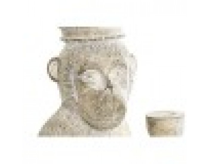 Декоративна фигурка DKD Home Decor Смола Маймуна (16 x 15 x 30 cm)