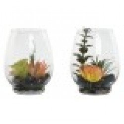 Декоративно Растение Home ESPRIT PVC Кристал 10 x 10 x 15 cm (2 броя) - Home esprit