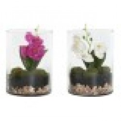 Декоративно Растение Home ESPRIT PVC Кристал 15 x 15 x 20 cm (2 броя) - Home esprit