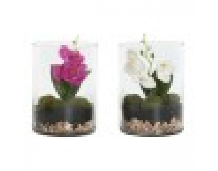 Декоративно Растение Home ESPRIT PVC Кристал 15 x 15 x 20 cm (2 броя)