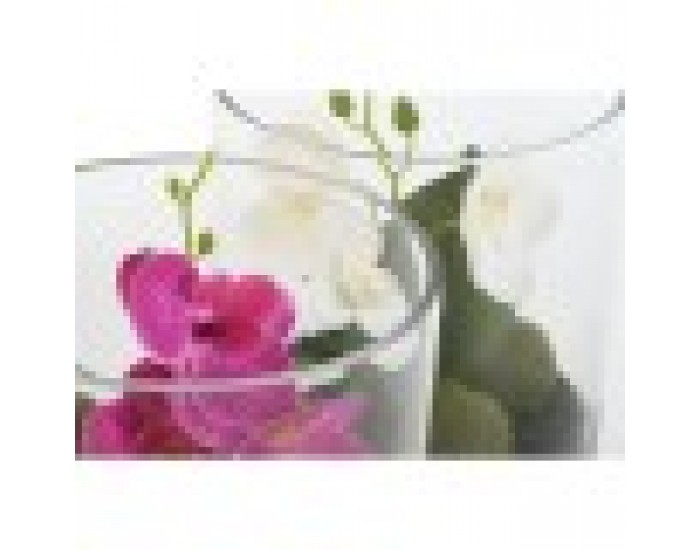 Декоративно Растение Home ESPRIT PVC Кристал 15 x 15 x 20 cm (2 броя)