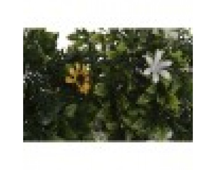 Държач на врати Home ESPRIT PVC 18 x 18 x 36 cm (2 броя)
