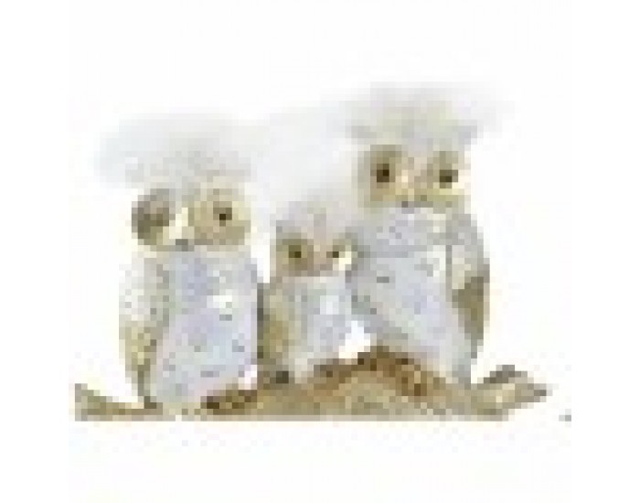 Декоративна фигурка DKD Home Decor Дънер 24 x 9 x 26 cm Сови Черен Златен Бял