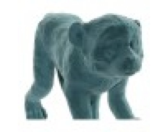 Декоративна фигурка DKD Home Decor Смола Маймуна (2 pcs) (31 x 9.5 x 19 cm)