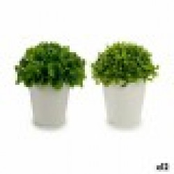 Декоративно Растение Пластмаса 13 x 17 x 13 cm (12 броя) - Ibergarden