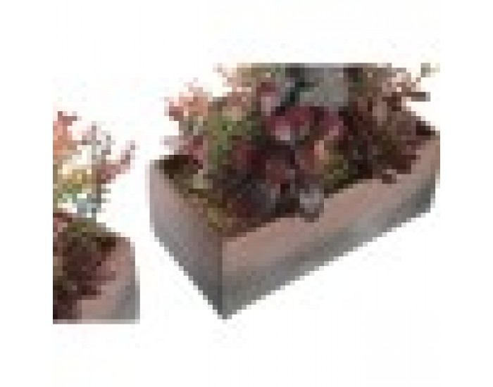 Декоративно Растение DKD Home Decor 19 x 9 x 22 cm Розов Оранжев Кактус Гума Ева полипропилен (2 броя)