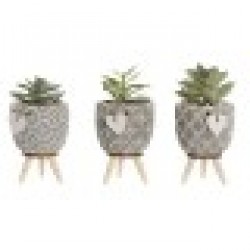 Декоративно Растение Home ESPRIT полиетилен Цимент 9,5 x 9,5 x 12 cm (3 броя) - Home esprit