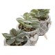 Декоративно Растение Home ESPRIT полиетилен Цимент 9,5 x 9,5 x 12 cm (3 броя)