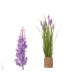 Декоративно Растение Ibergarden GD013302A Въже Пластмаса 30 x 69 x 30 cm (3 броя)