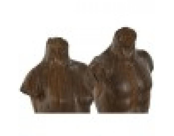 Декоративна фигурка Home ESPRIT Бял Светло кафяв Бюст 9,5 x 8 x 31 cm (2 броя)