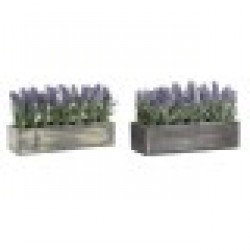 Декоративно Растение DKD Home Decor Дървен Люляк Зелен PE (32 x 14 x 19,5 cm) (2 броя) - Dkd home decor