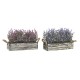 Декоративно Растение DKD Home Decor Дървен Люляк Фуксия PE (30 x 12 x 21 cm) (2 броя)
