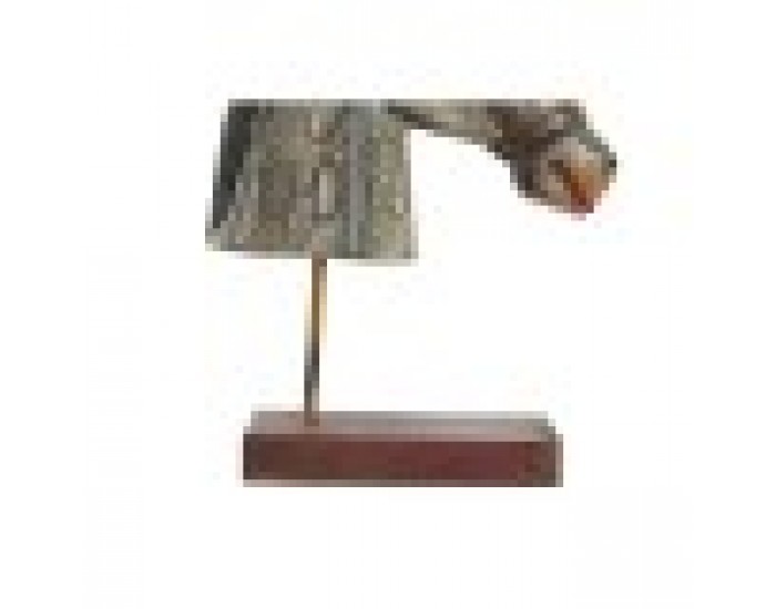 Декоративна фигурка DKD Home Decor Кон Желязо Дърво манго (24 x 12 x 35 cm)