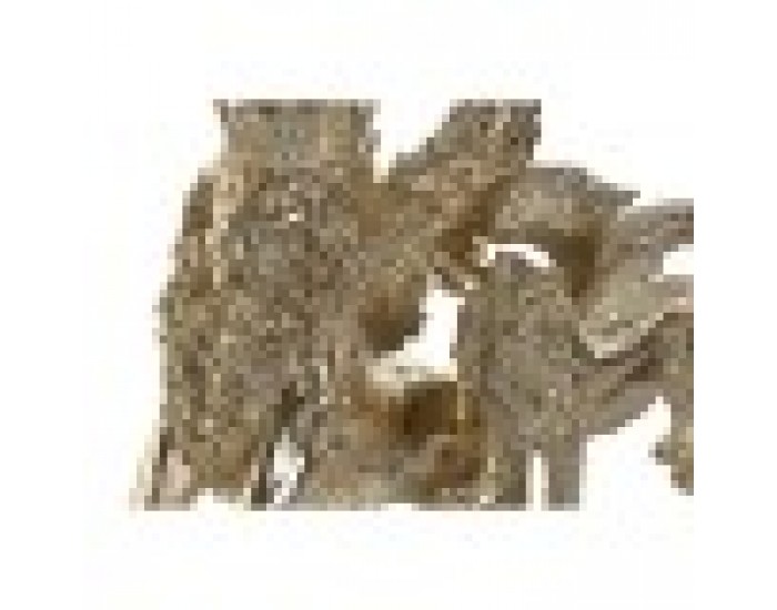 Декоративна фигурка Home ESPRIT Златен Лъв 20 x 10,5 x 17,5 cm 29 x 13 x 25 cm (2 броя)