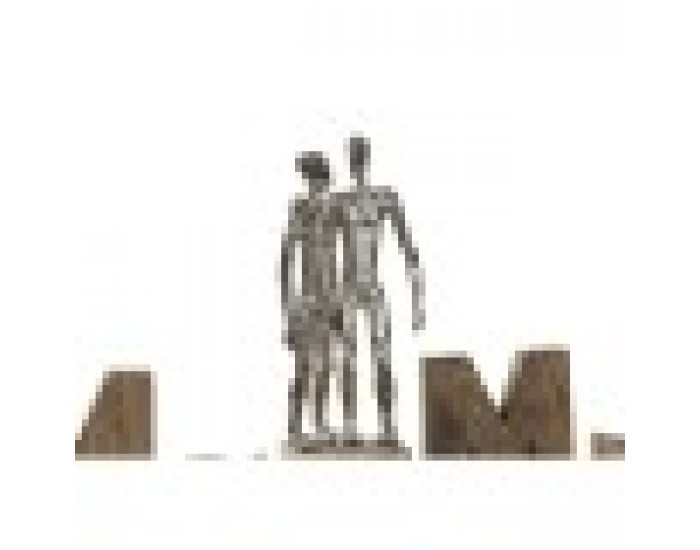 Декоративна фигурка DKD Home Decor Mr & Mrs Сребрист Кафяв Алуминий Дърво манго