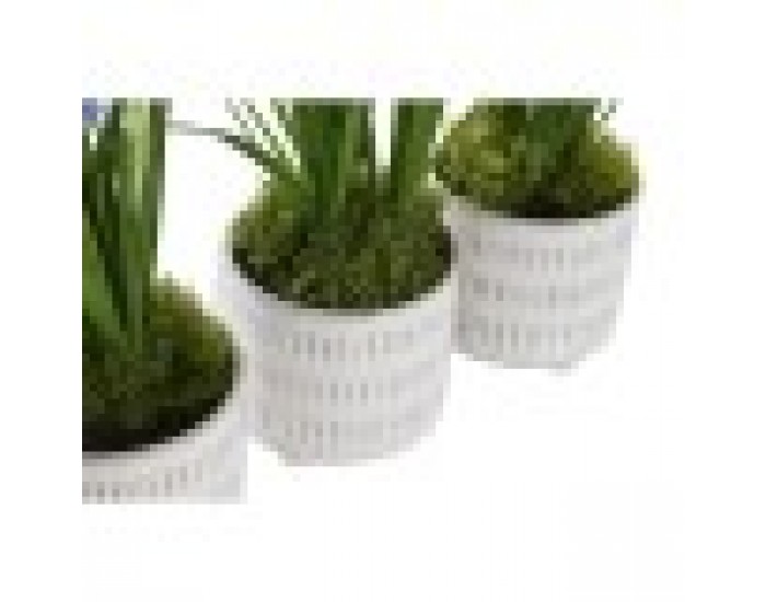Декоративно Растение DKD Home Decor Пяна Син Розов Жълт полипропилен 15 x 15 x 30 cm (3 Части)