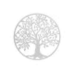 Декорация за стена Home ESPRIT Бял Дърво Cottage 99 x 2 x 99 cm - Home esprit