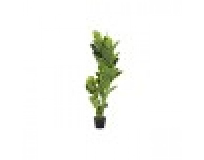 Декоративно Растение DKD Home Decor полиетилен Зелен 40 x 40 x 120 cm Град